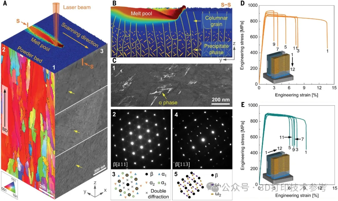???????????????????????????????? 2024